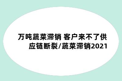 万吨蔬菜滞销 客户来不了供应链断裂/蔬菜滞销2021